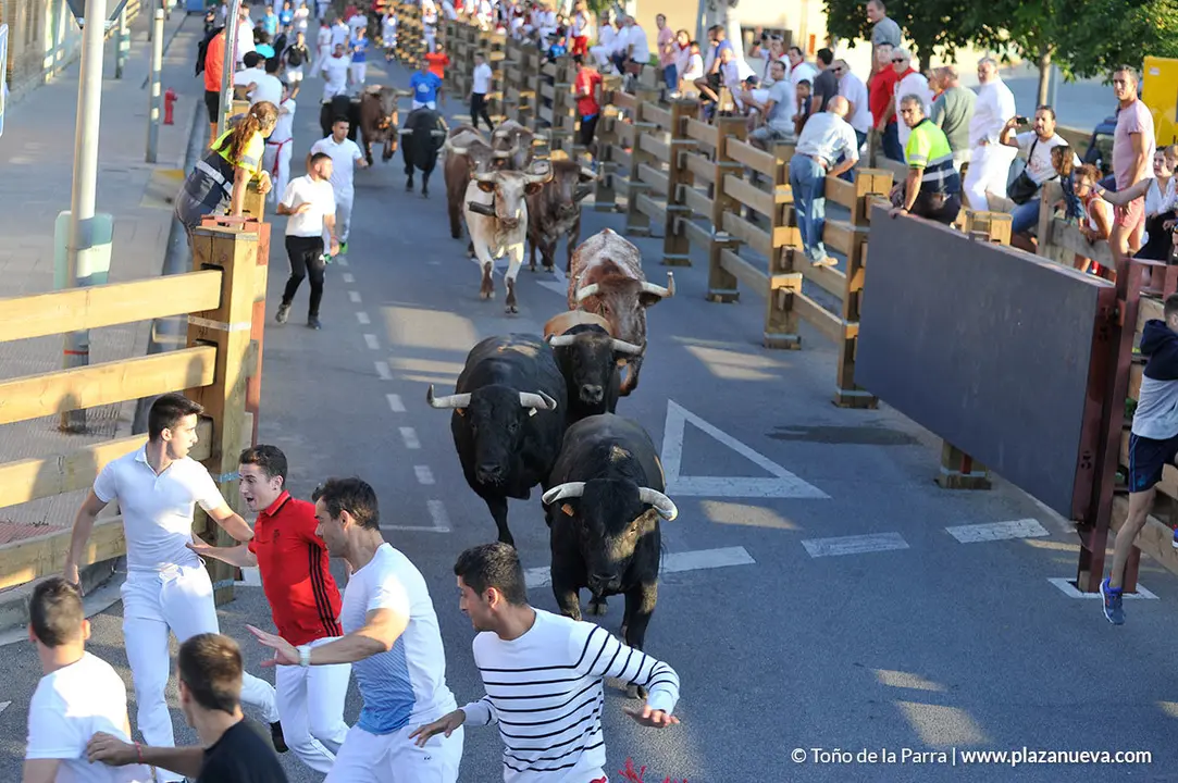 180730_FIESTAS01_64783