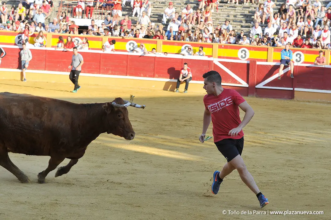 180730_FIESTAS01_64862