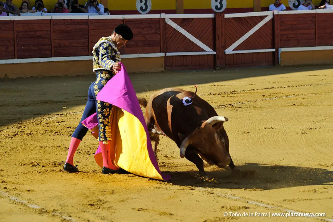 180728_FIESTAS03_61034