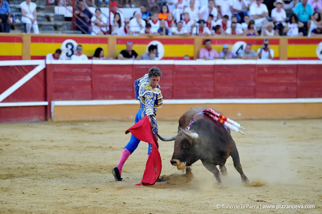 180728_FIESTAS03_62291
