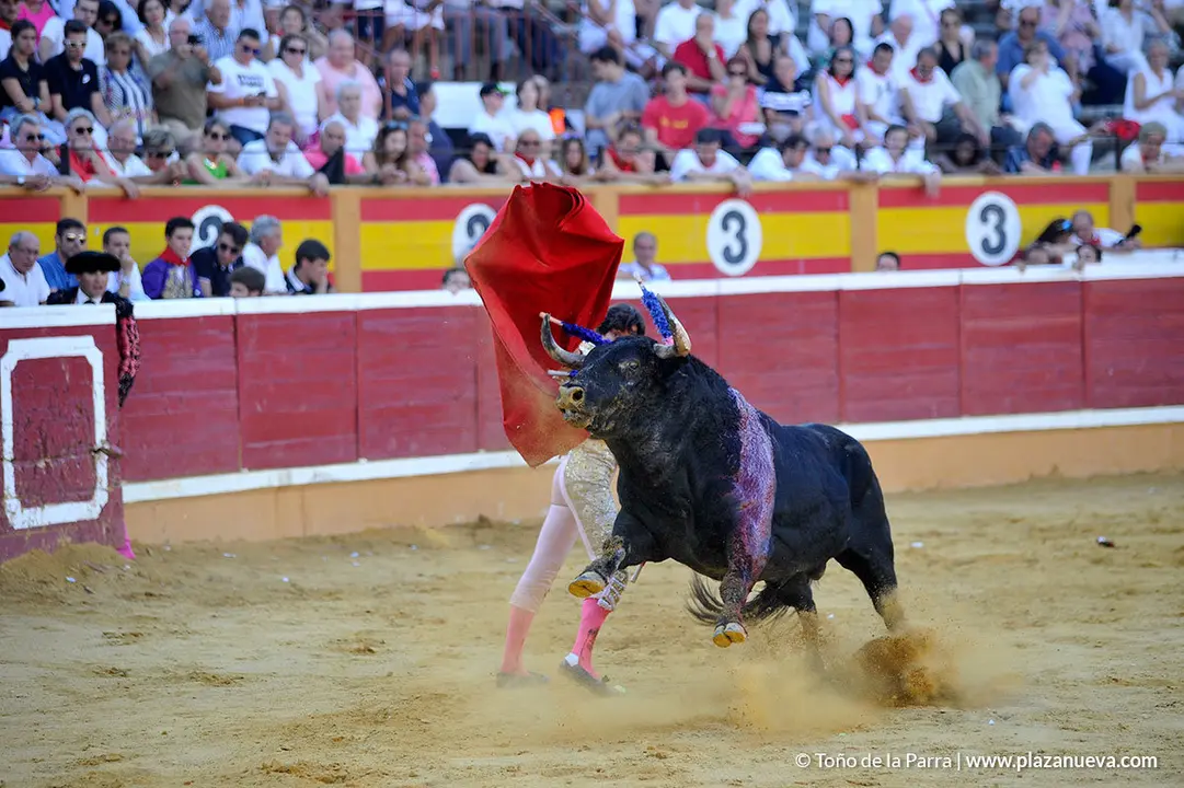 180729_FIESTAS02_64458