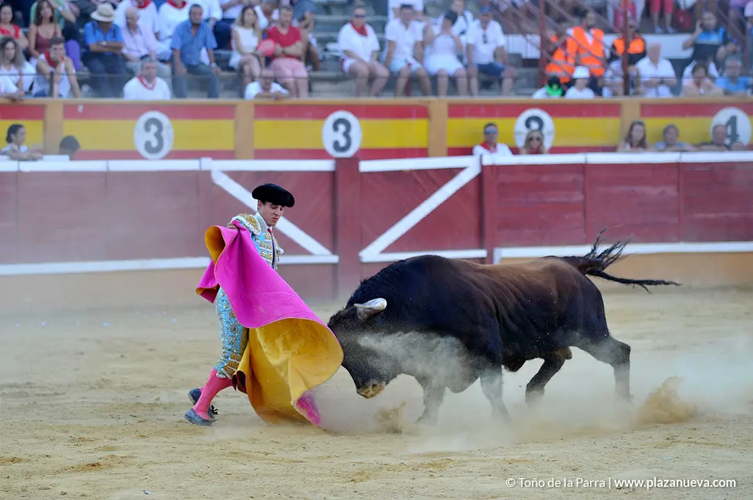 180729_FIESTAS02_64578