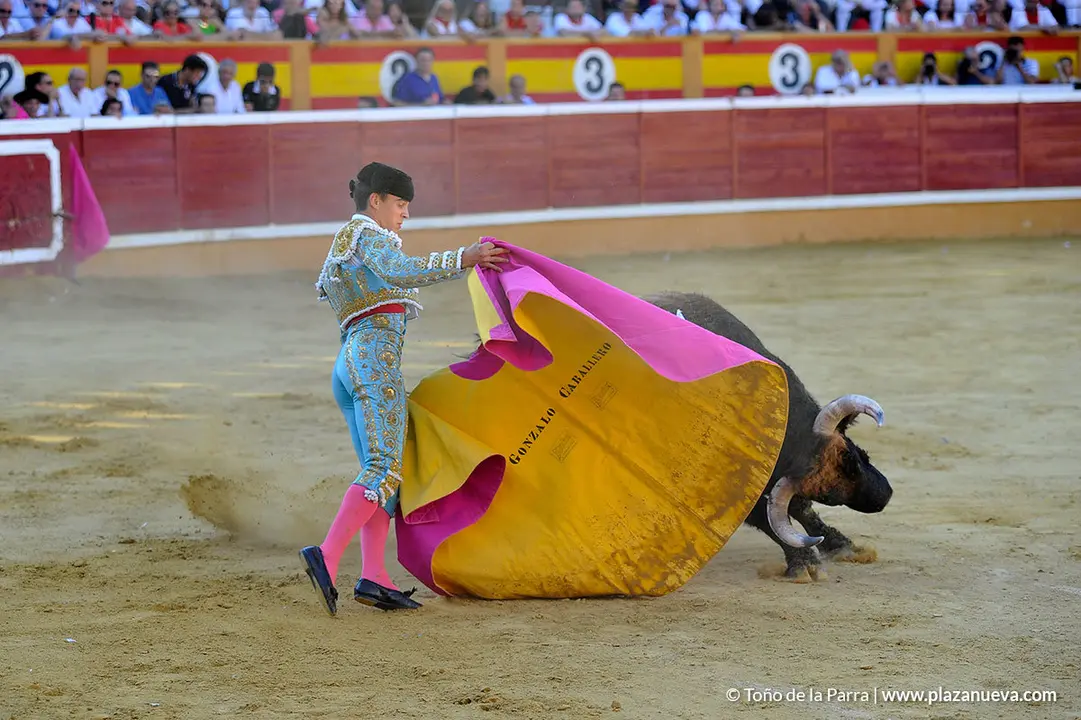 180729_FIESTAS02_64023