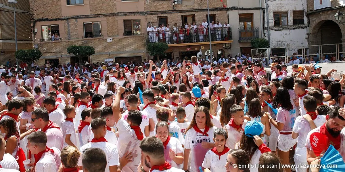 Fiestas de Arguedas 2018 - 3