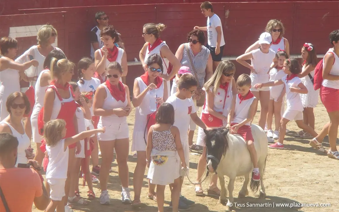 Fiestas de Arguedas 2018 - 9