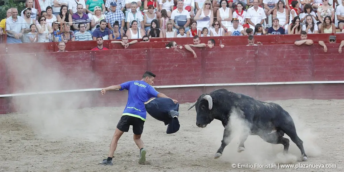 Fiestas de Arguedas 2018 - 12