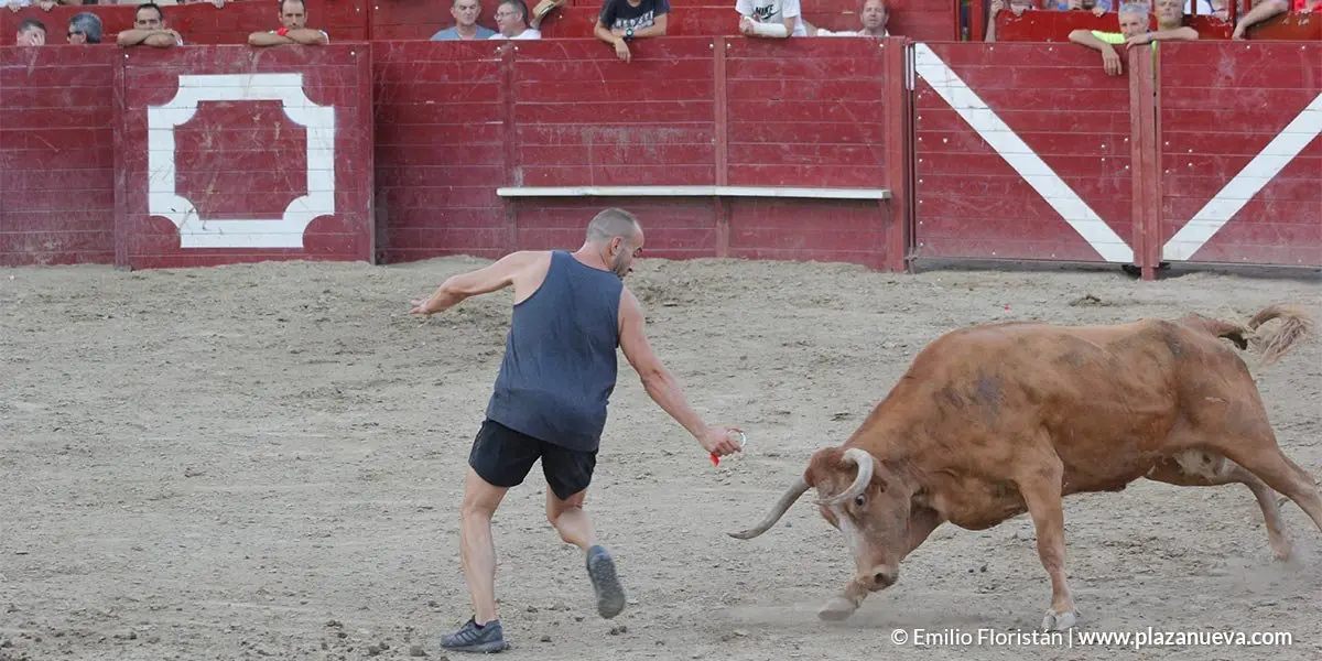 Fiestas de Arguedas 2018 - 13