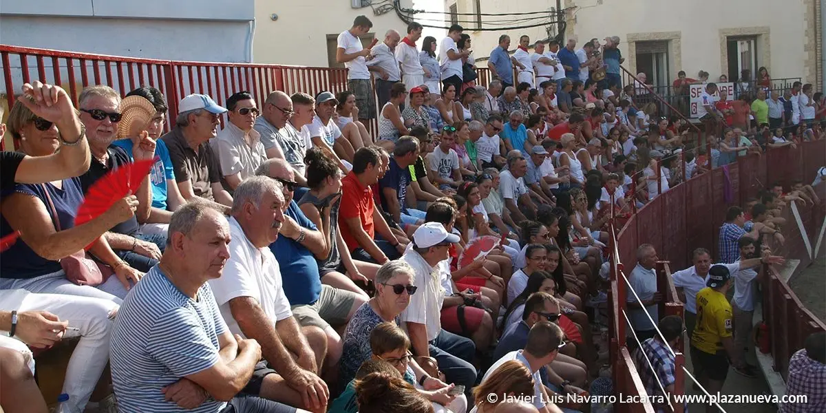Fiestas de Arguedas 2018 - 15