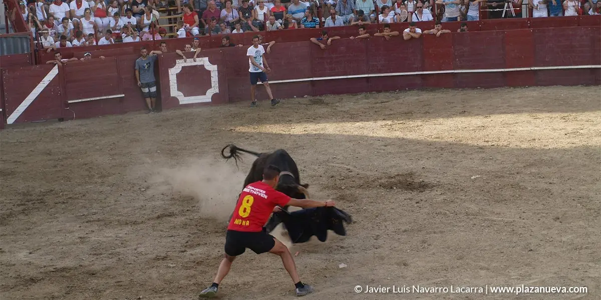 Fiestas de Arguedas 2018 - 16
