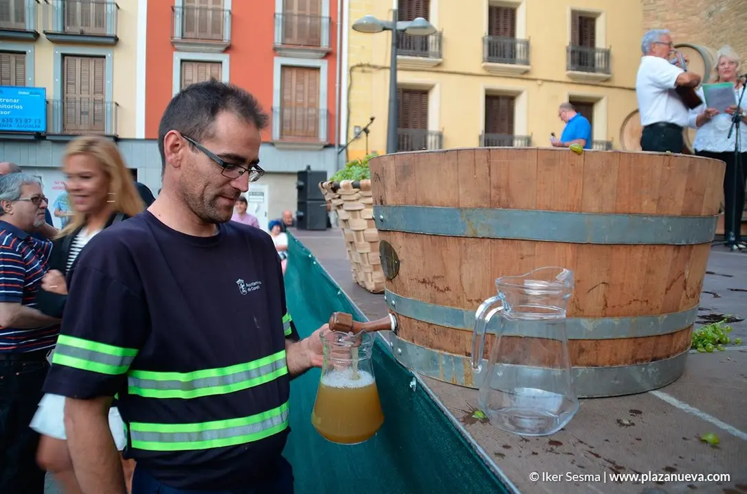 X Jornadas de la Vendimia en Corella - 15