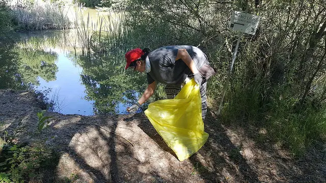 Limpieza de los m&aacute;rgenes del r&iacute;o