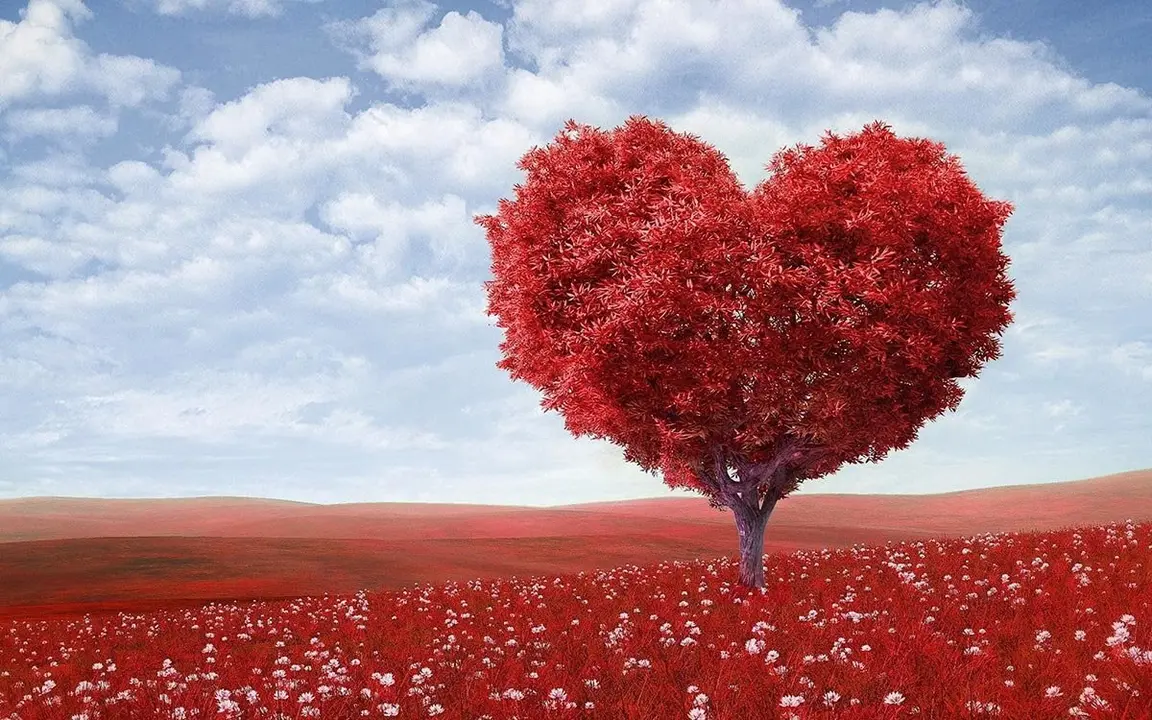 Los amarres de amor, uno de los hechizos m&aacute;s antiguos para recuperar el amor