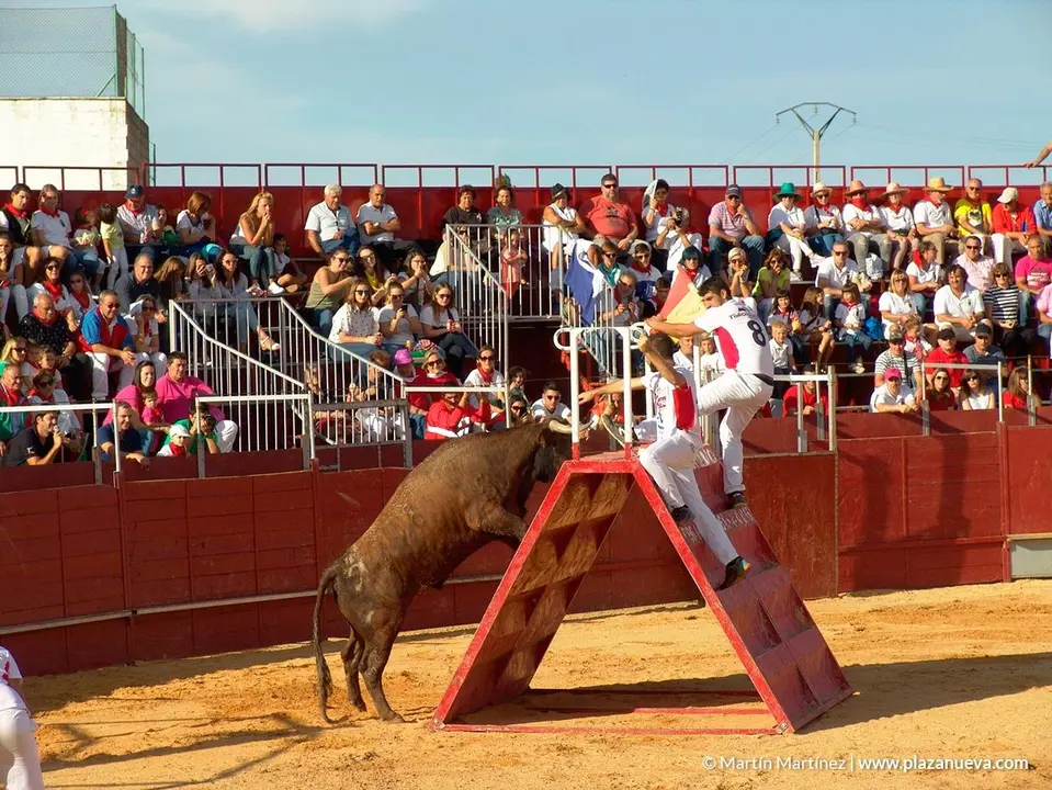 Fiestas de &Oacute;lvega'18 - 36