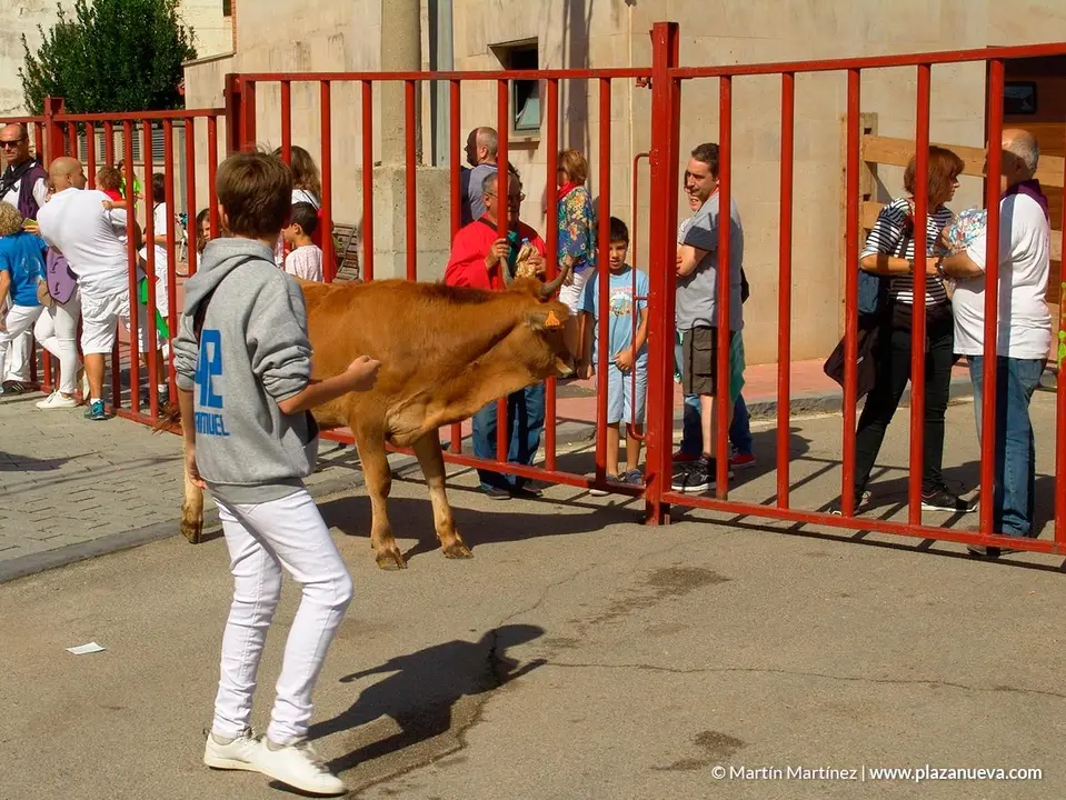 Fiestas de &Oacute;lvega'18 - 38