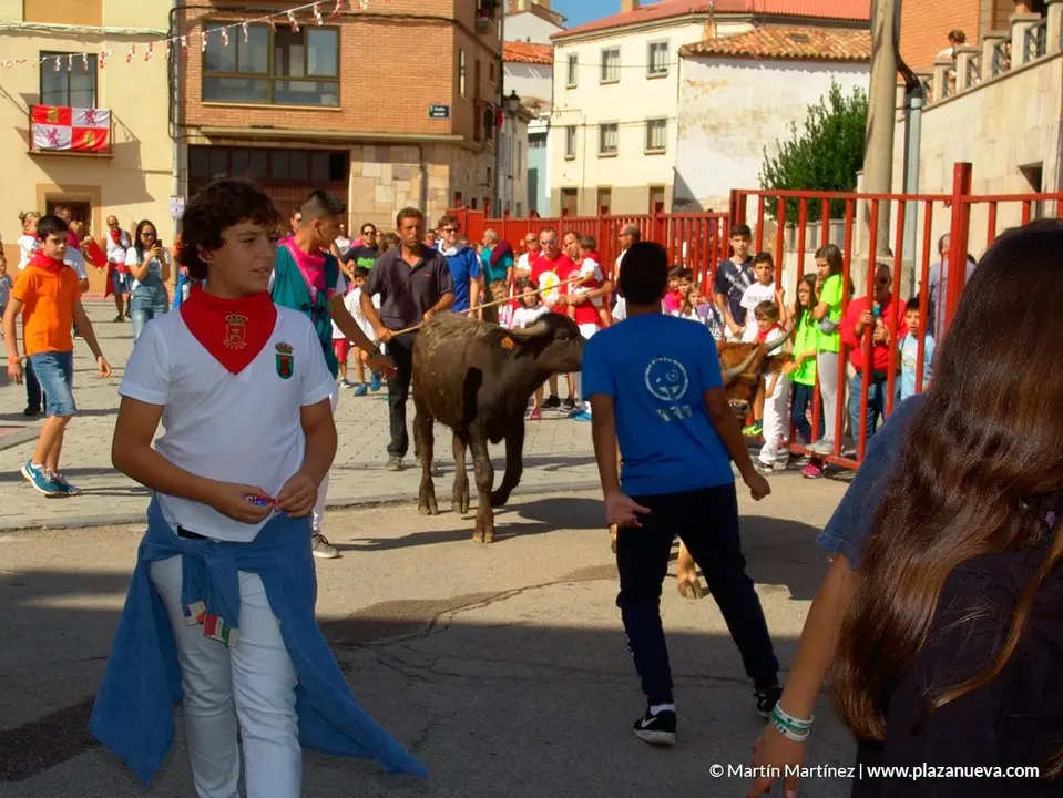 Fiestas de &Oacute;lvega'18 - 39
