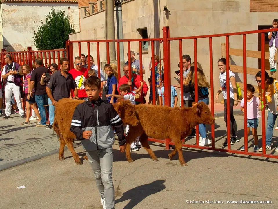Fiestas de &Oacute;lvega'18 - 41