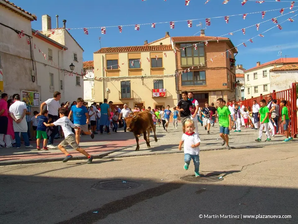 Fiestas de &Oacute;lvega'18 - 44