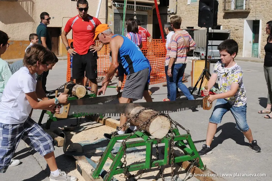 VI Fiesta de los Usos Tradicionales de la Trashumancia en Bardenas en Carcastillo 2018 - 1