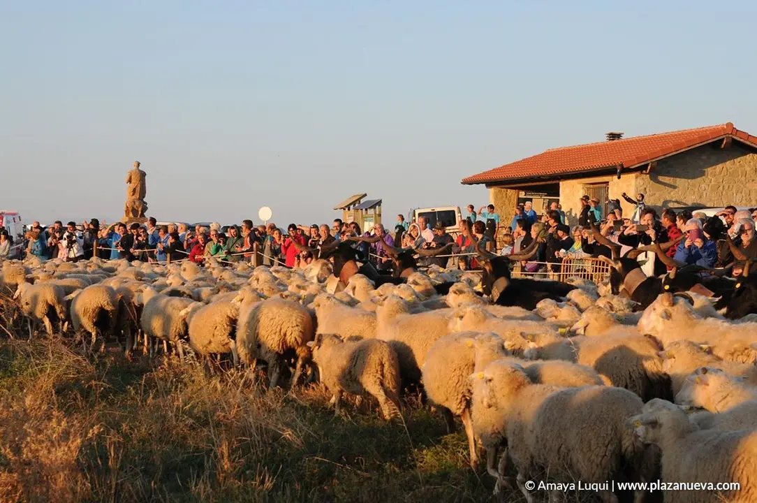 VI Fiesta de los Usos Tradicionales de la Trashumancia en Bardenas en Carcastillo 2018 - 2