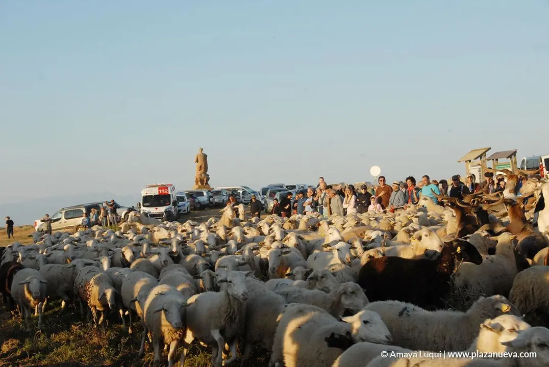 VI Fiesta de los Usos Tradicionales de la Trashumancia en Bardenas en Carcastillo 2018 - 8