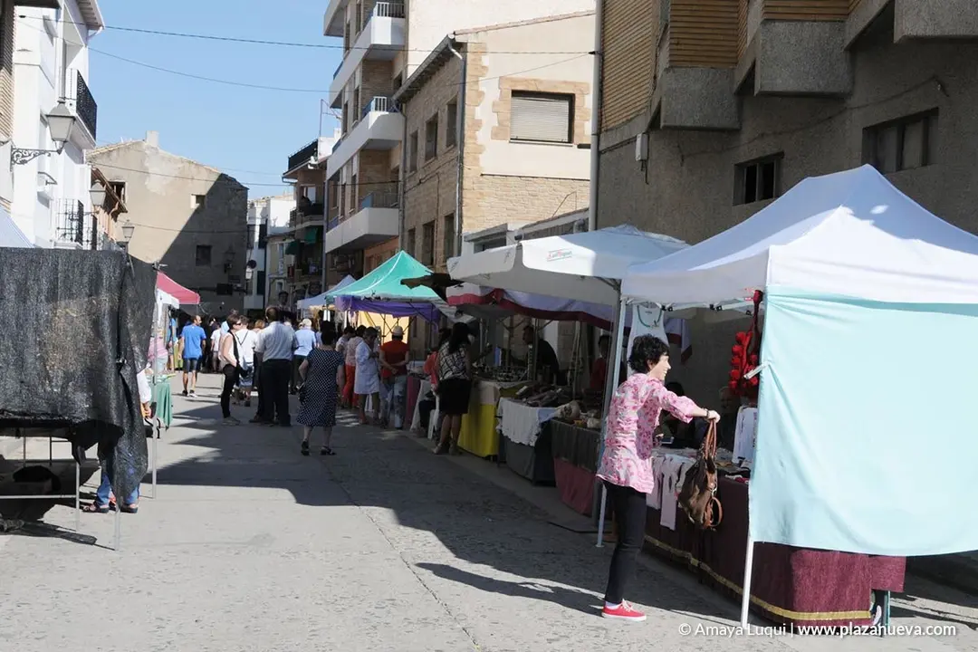 VI Fiesta de los Usos Tradicionales de la Trashumancia en Bardenas en Carcastillo 2018 - 18