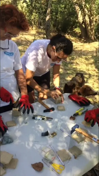 Voluntariado ambiental Decathlon 2018 - 4