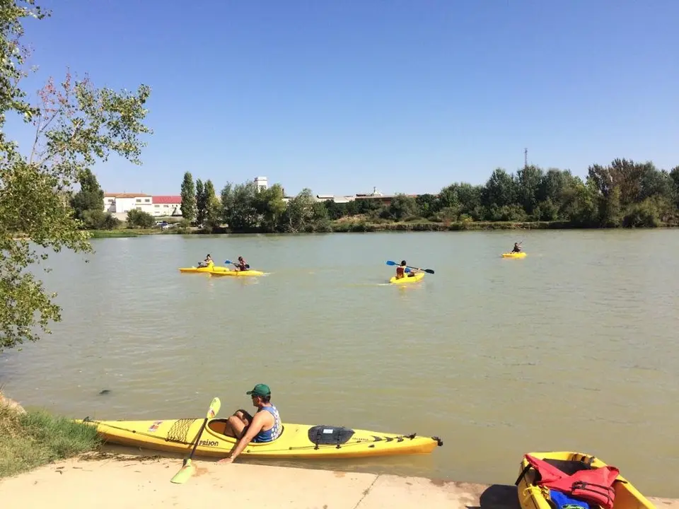 Voluntariado ambiental Decathlon 2018 - 5