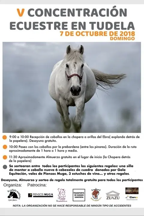 V Concentraci&oacute;n ecuestre en Tudela