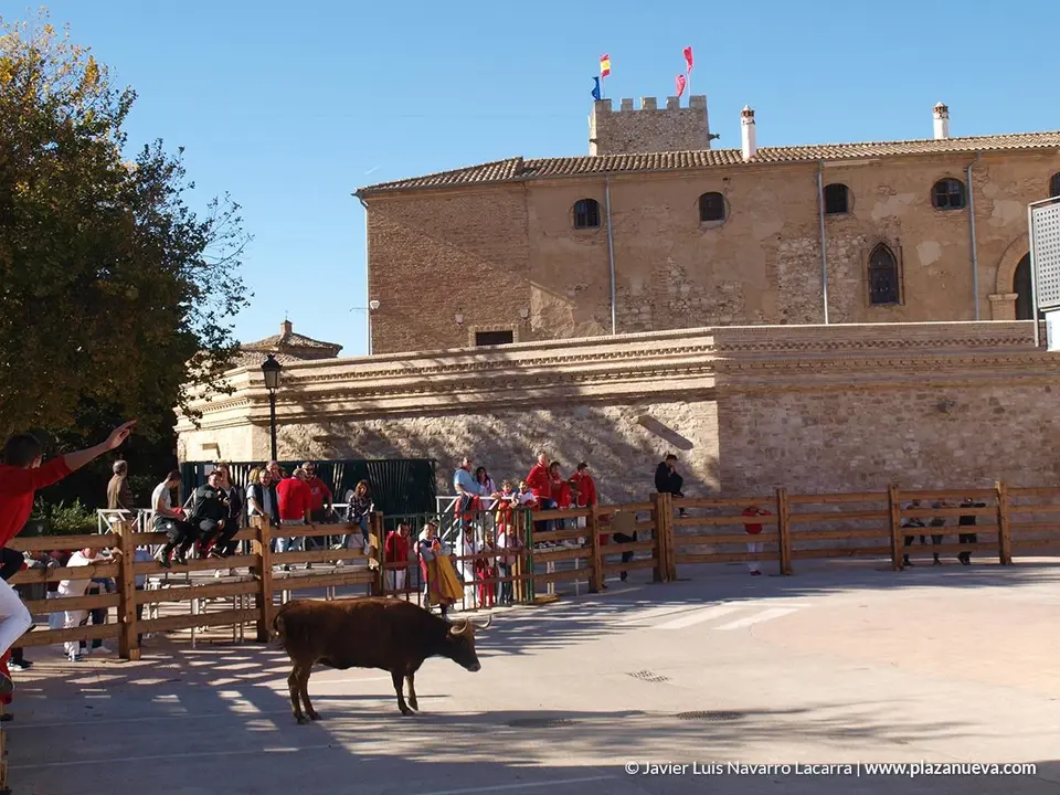 Fiestas de Cortes 2018 - 13