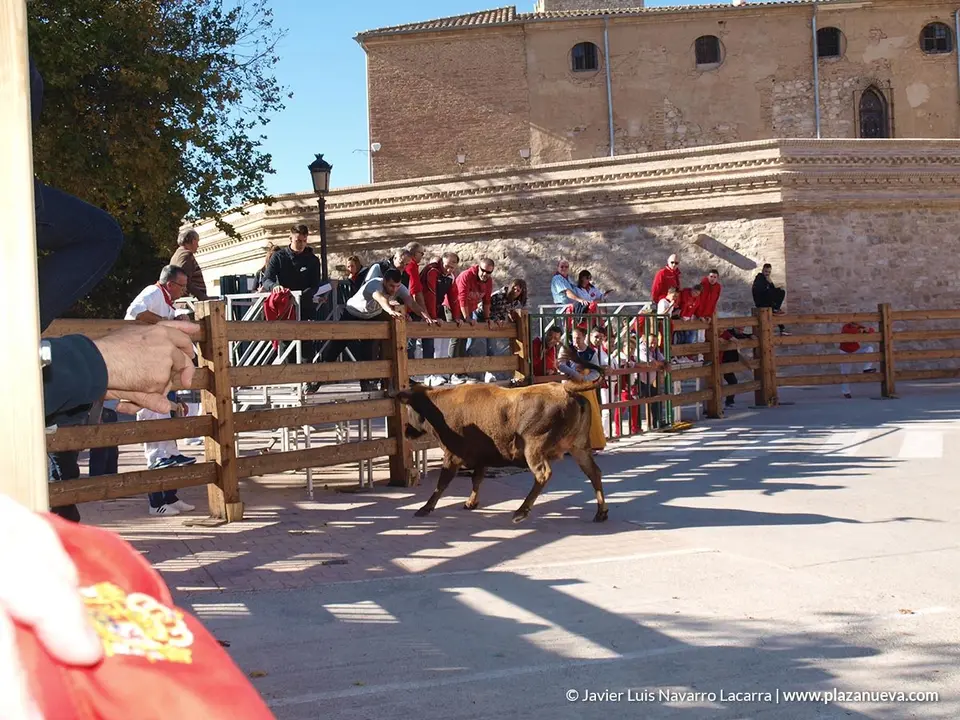 Fiestas de Cortes 2018 - 14