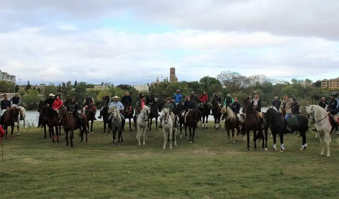 Hasta 79 caballos con sus respectivos jinetes se reunieron el 7 de octubre en la chopera del Ebro con motivo de la V Concentraci&oacute;n ecuestre. Realizaron una ruta por la pre Bardenas terminando con un op&iacute;paro almuerzo para jinetes e invitados - 3
