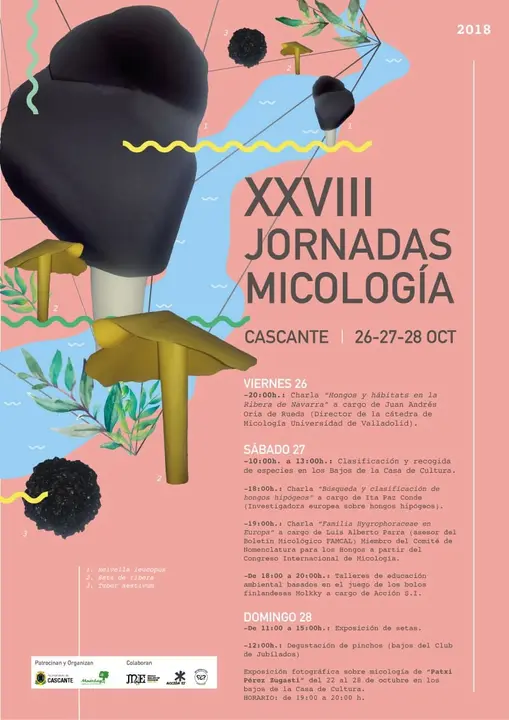 XXVIII Jornadas de micolog&iacute;a en Cascante