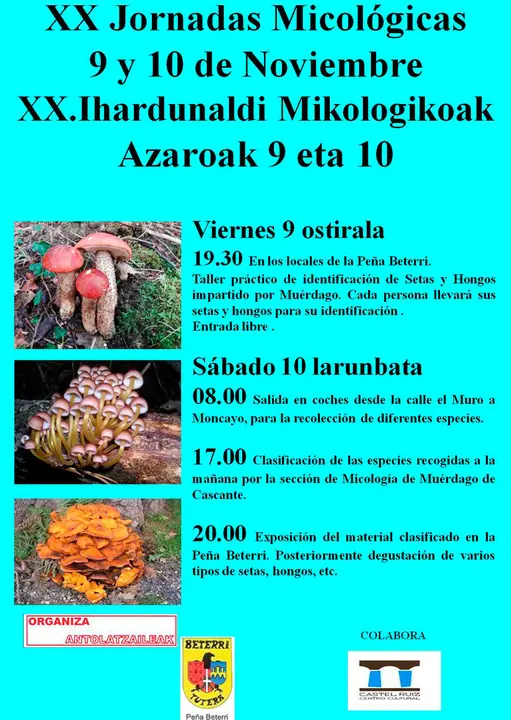 XX Jornadas Micol&oacute;gicas de la Pe&ntilde;a Beterri de Tudela