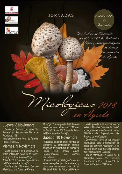 Jornadas micol&oacute;gicas 2018 en &Aacute;greda