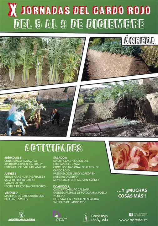 X Jornadas del Cardo Rojo de &Aacute;greda