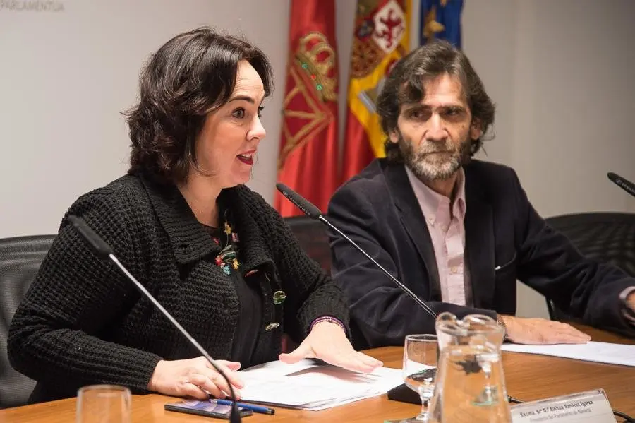 Presentaci&oacute;n del Navarr&oacute;metro