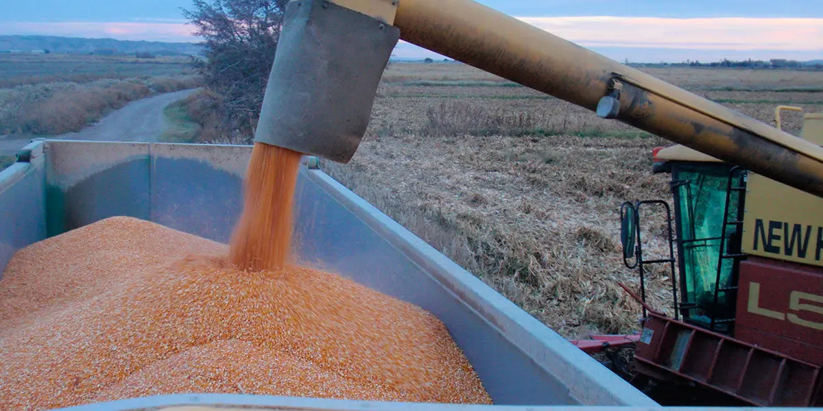 La finca La Alfranca desarrollar&aacute; tres nuevos ensayos de transferencia agraria en el pr&oacute;ximo a&ntilde;o