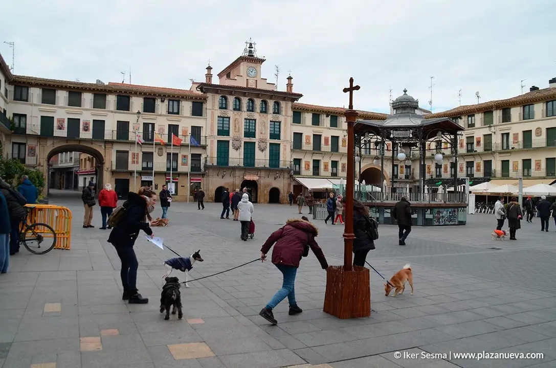 San Ant&oacute;n en Tudela, 2019 - 1