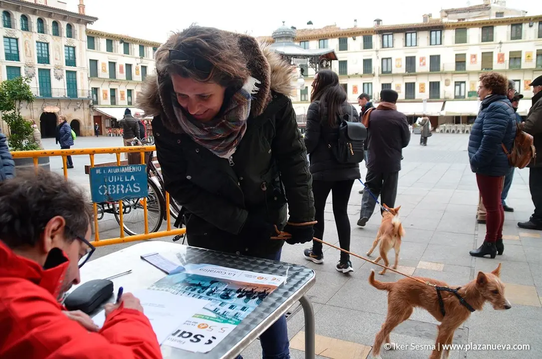 San Ant&oacute;n en Tudela, 2019 - 4