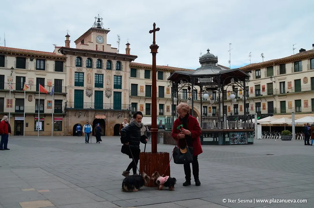 San Ant&oacute;n en Tudela, 2019 - 7