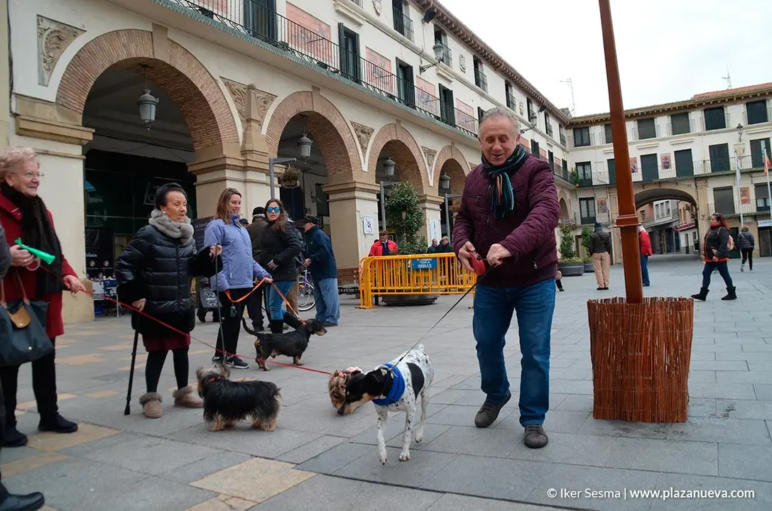San Ant&oacute;n en Tudela, 2019 - 9