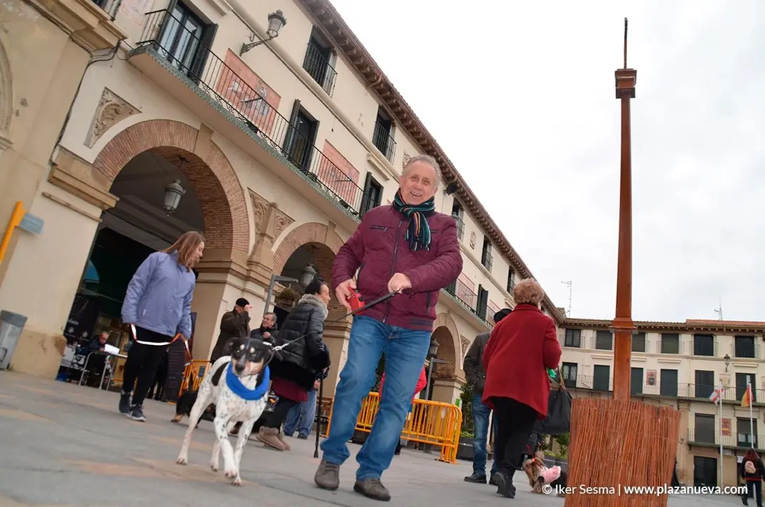 San Ant&oacute;n en Tudela, 2019 - 10