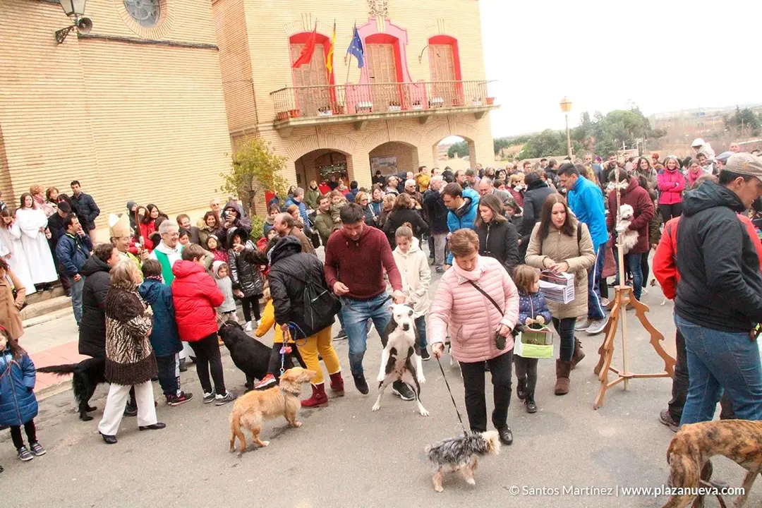 San Ant&oacute;n en Murchante, 2019 - 1