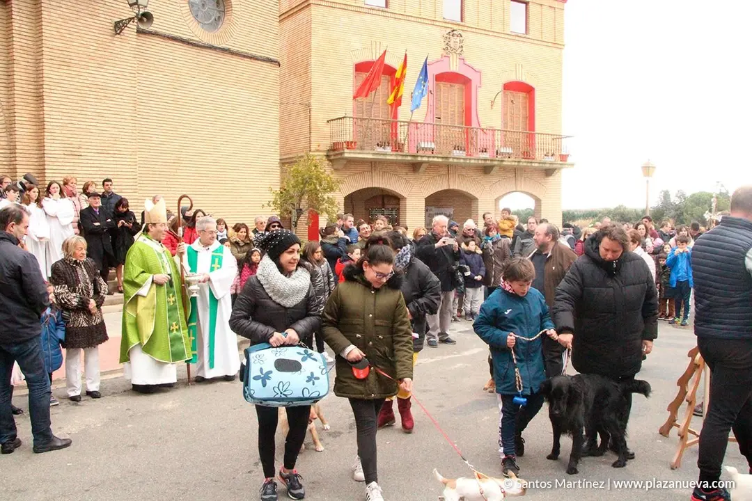 San Ant&oacute;n en Murchante, 2019 - 2
