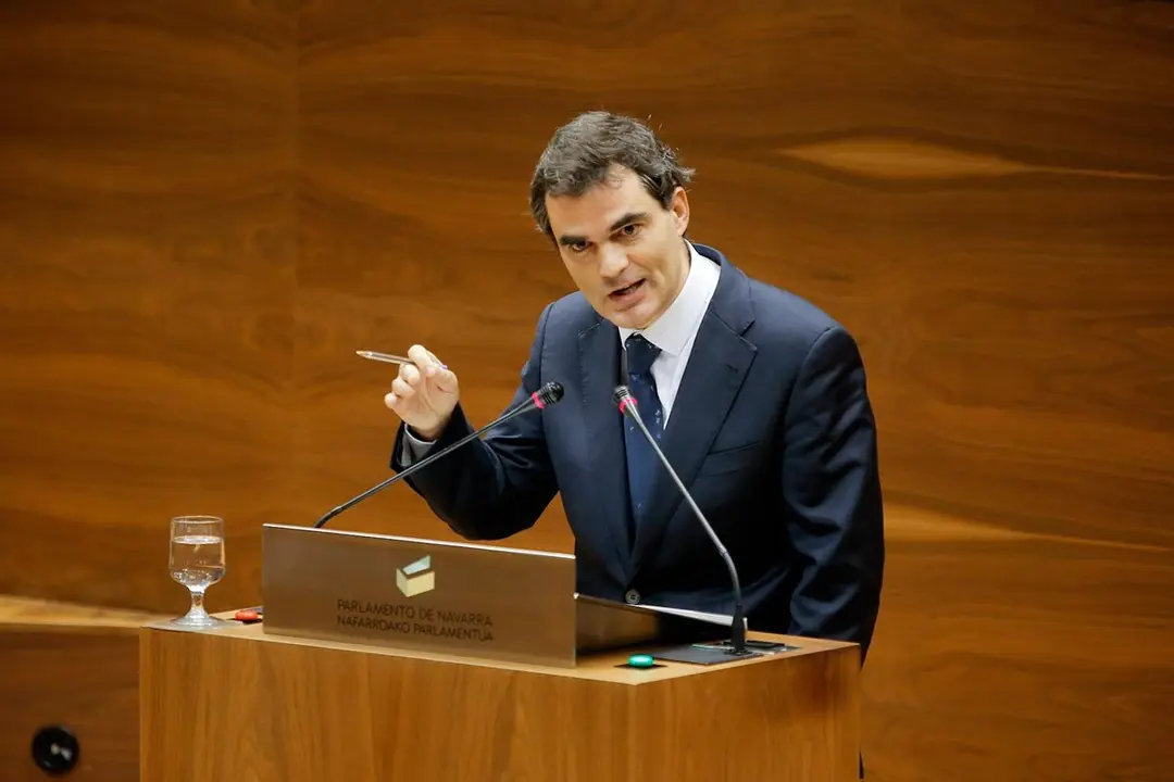 Guzm&aacute;n Garmendia