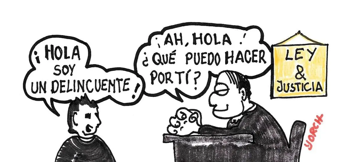 Yorch-1236-2