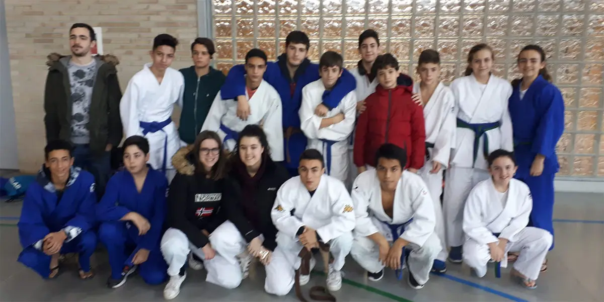 Todos los componentes del Shogun