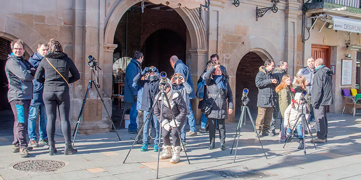 Observatorio de cig&uuml;e&ntilde;as instalado en la Plaza Nueva de Tudela 2