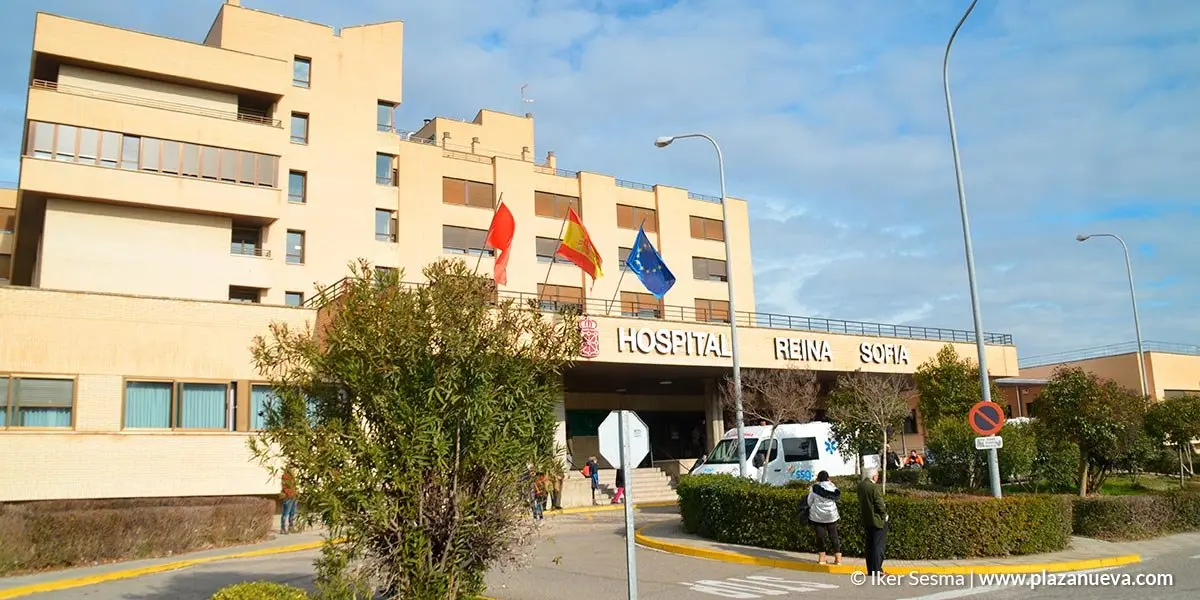 Hospital Reina Sof&iacute;a, hospital de Tudela, salud 2