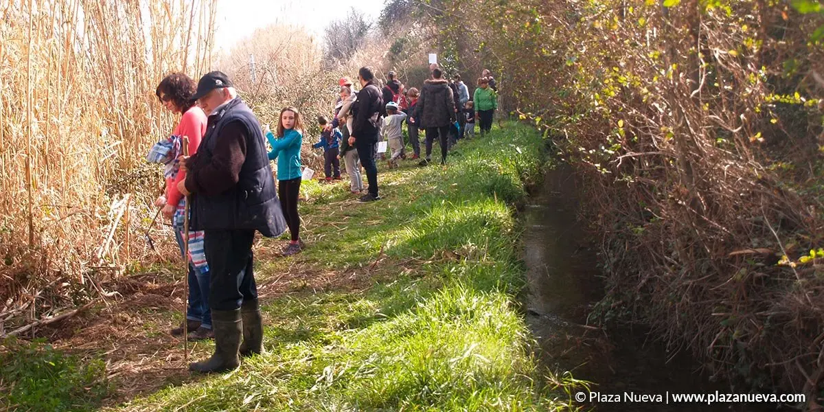 Acciones de Mascotas verdes, plantaci&oacute;n de &aacute;rboles y fuente de la salud 4